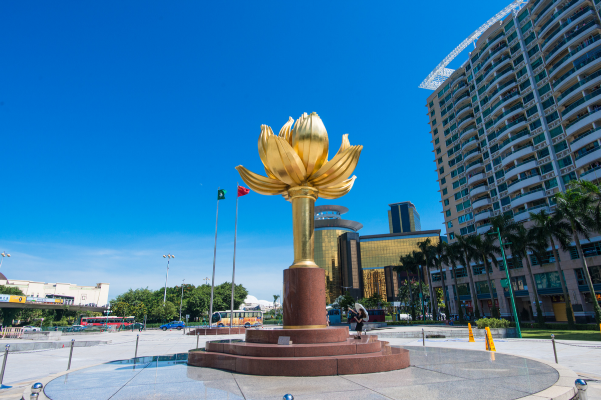 澳门一码一肖一待一中四不像,探索神秘的游戏世界,澳门神秘游戏世界,一码一肖一待一中四不像的探索之旅