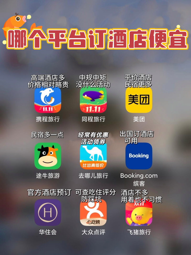 网上订房平台概览,便捷住宿的新时代选择,网上订房平台概览,新时代住宿的便捷之选