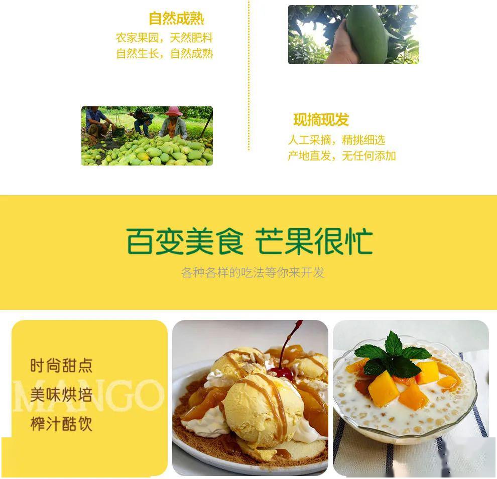 芒果团购网,引领新时代的智能团购体验,芒果团购网,智能团购新时代的引领体验