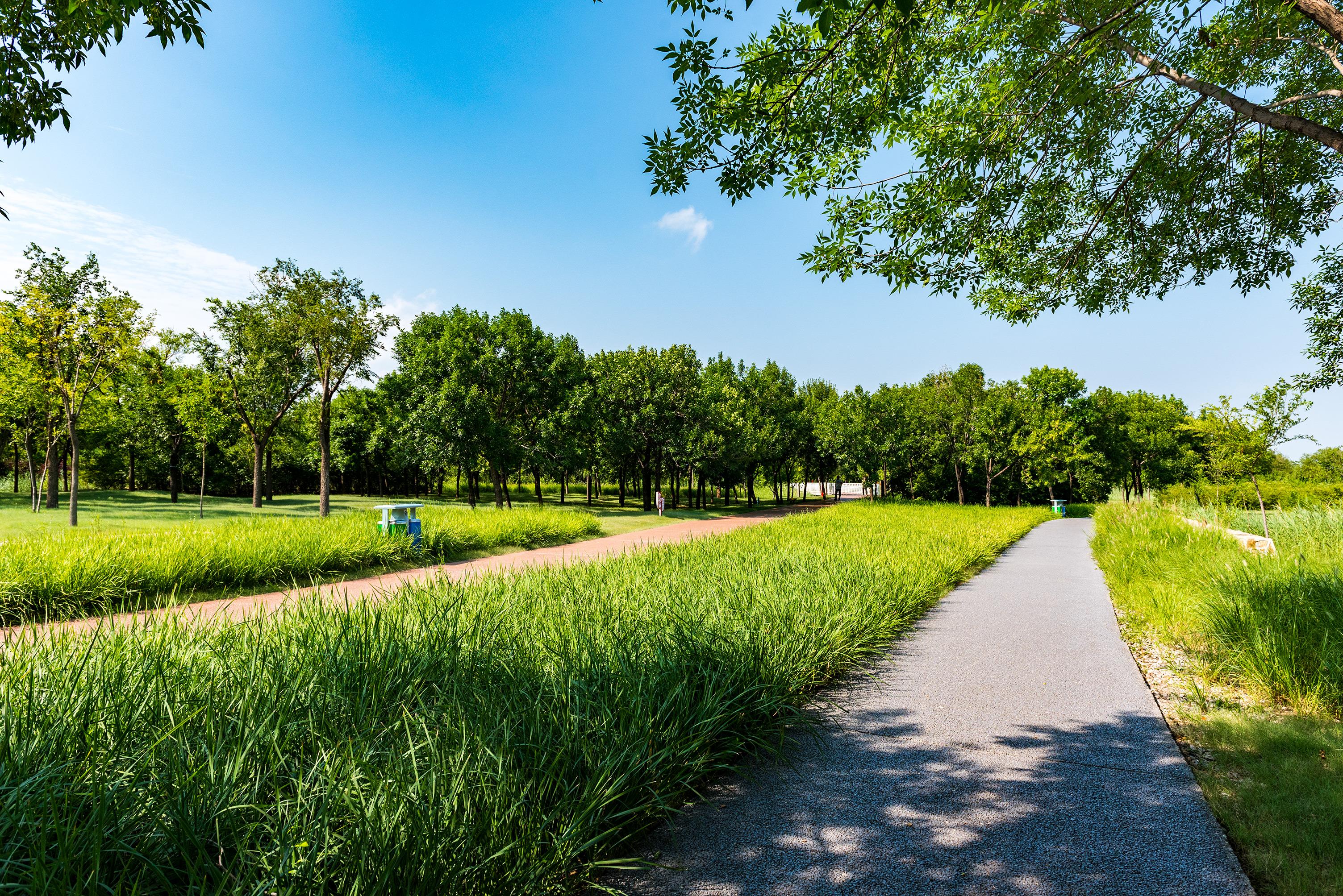 天津健身教练证考试指南,如何获得专业资格认证,天津健身教练证考试全攻略,专业资格认证获取指南