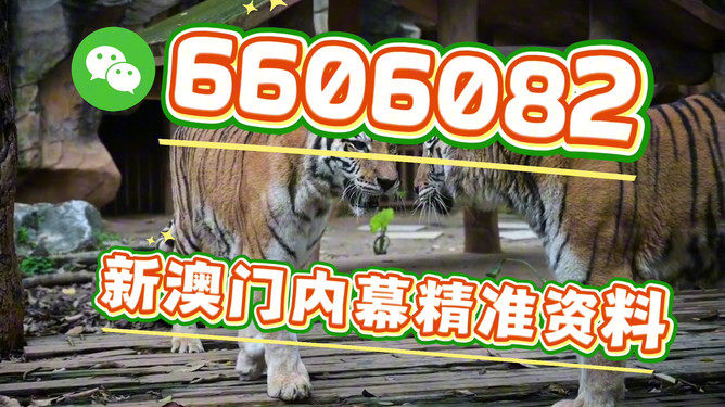 澳门今晚必开一肖一特四不像,探索运气与娱乐的边界,运气与娱乐的边界,澳门今晚必开一肖一特四不像探索