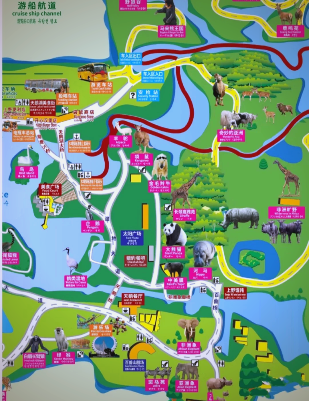 上海动物园与上海野生动物园,城市中的自然对决,上海城市中的自然对决,动物园与野生动物园的对比