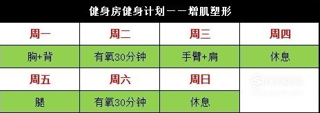 健身房初学者健身计划,打造健康体魄的起点,初学者健身计划,打造健康体魄的起点之路