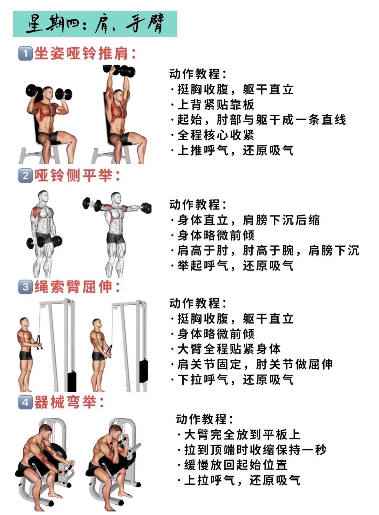 健身房初学者健身计划,打造健康体魄的起点,初学者健身计划,打造健康体魄的起点之路