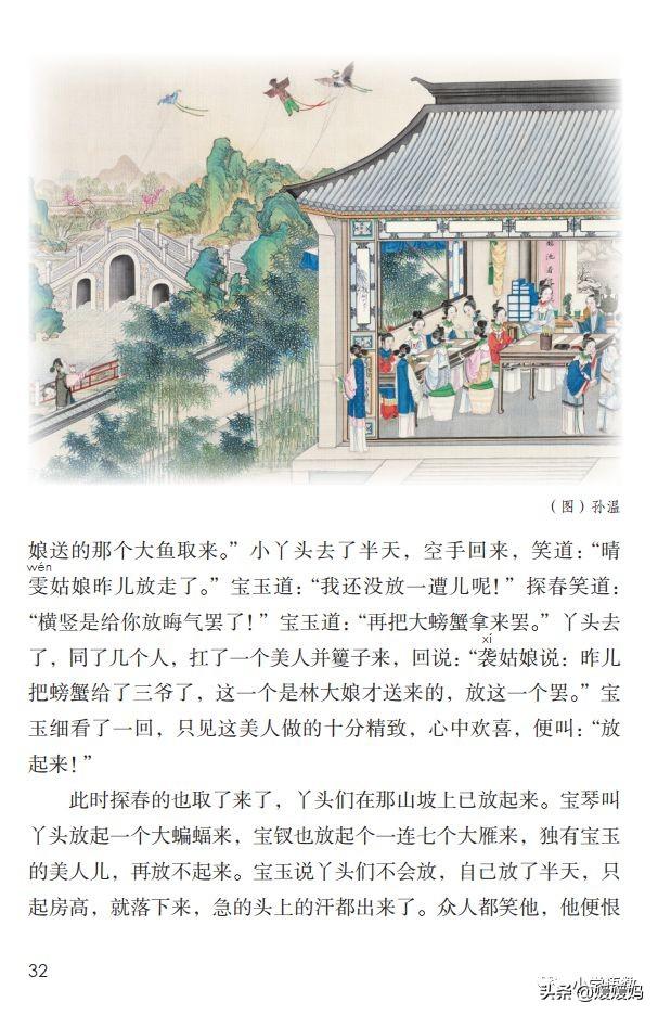 红楼春趣,探寻古典名著中的生机与诗意,红楼春趣,探寻古典名著中的生机与诗意之美