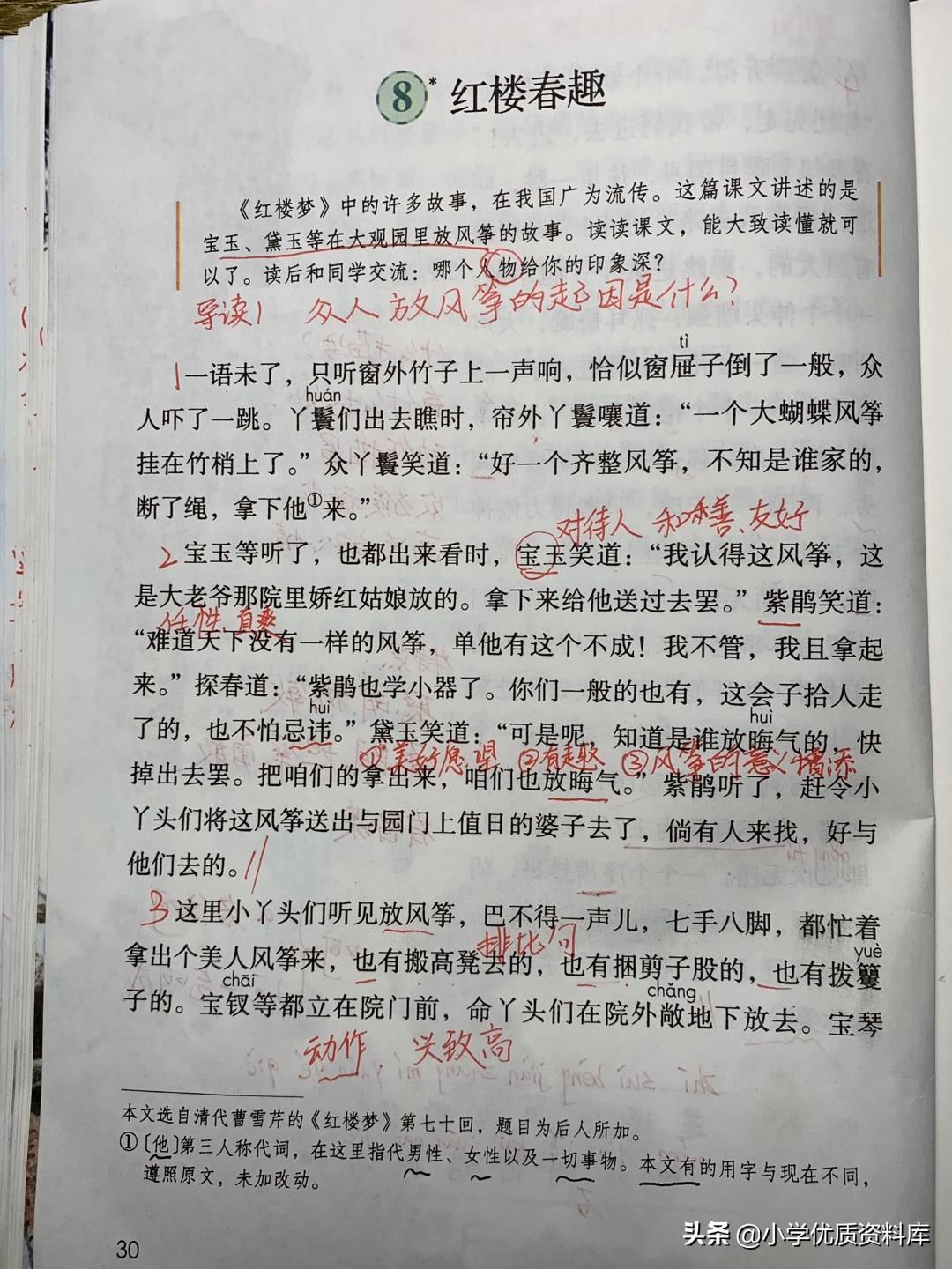 红楼春趣,探寻古典名著中的生机与诗意,红楼春趣,探寻古典名著中的生机与诗意之美