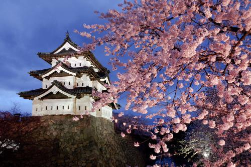 日本旅游6天跟团多少钱?全面解析日本旅游跟团费用构成与预算,日本旅游跟团6天行程费用全解析,预算构成与报价揭秘