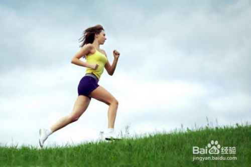 无氧运动与有氧运动，运动健康的双重旋律，无氧运动与有氧运动，运动健康的双重奏