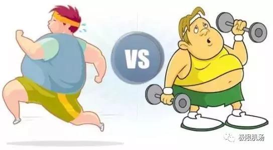 无氧运动与有氧运动,运动健康的双重旋律,无氧运动与有氧运动,运动健康的双重奏