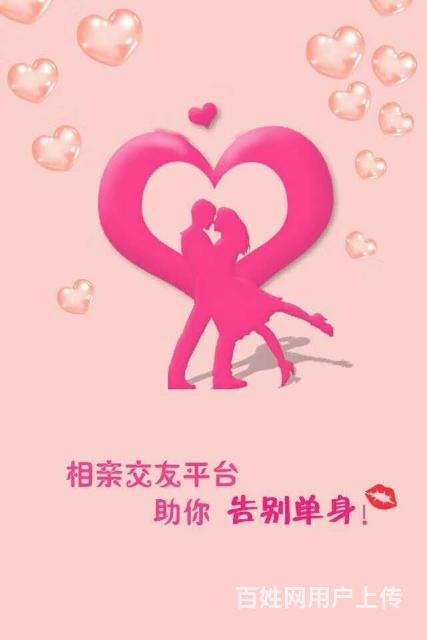 红娘网婚恋，搭建幸福的桥梁，红娘网婚恋，幸福桥梁的构建者