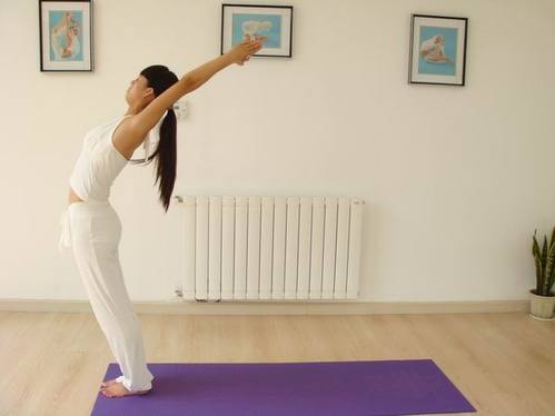 瑜伽入门教学视频