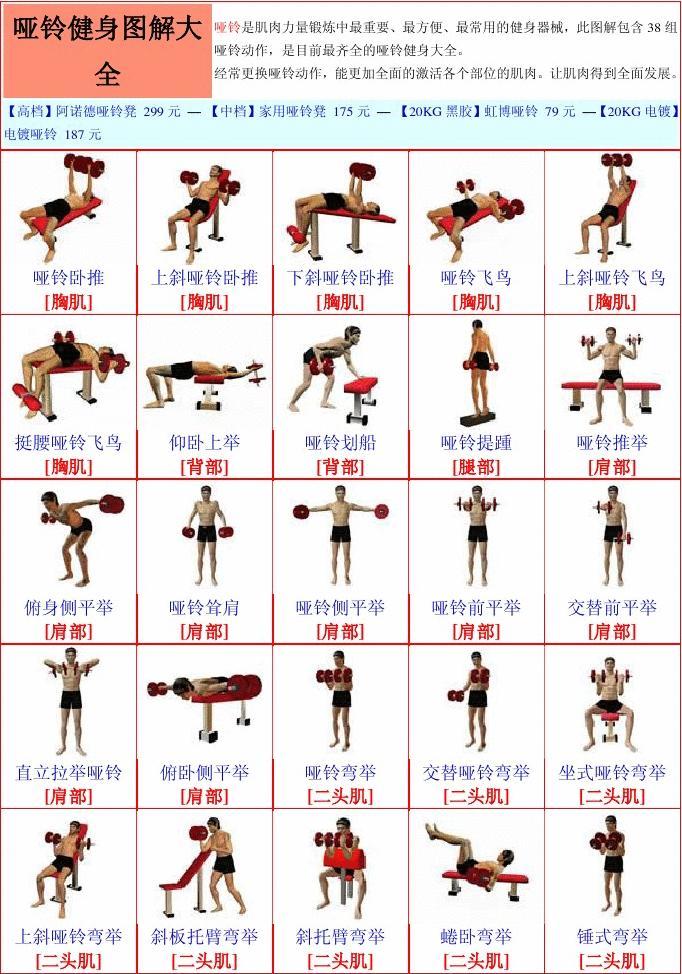 全面解析,适合60岁人群的哑铃训练动作大全,适合60岁人群的哑铃训练动作全面解析指南