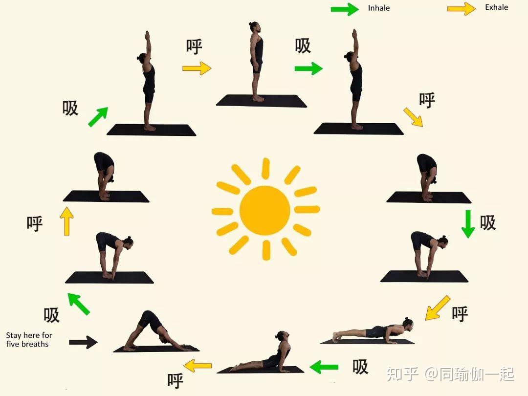 拜日式A瑜伽口令,唤醒身心的和谐之旅,拜日式A瑜伽口令,唤醒身心和谐之旅的秘诀