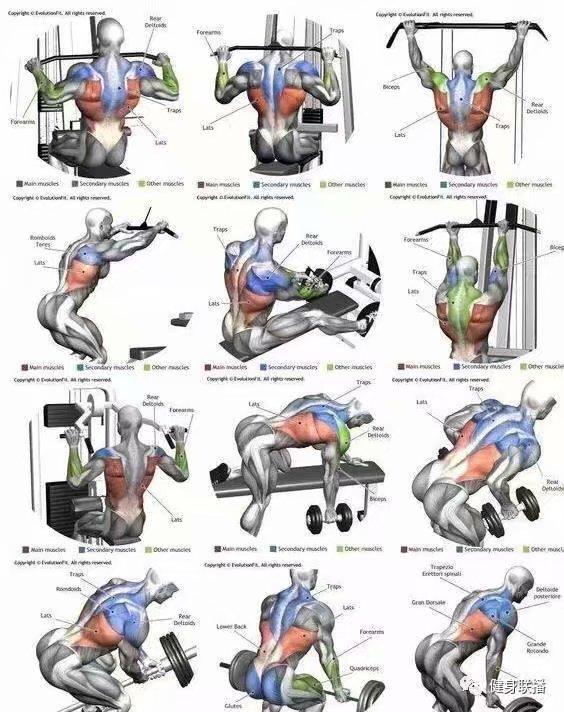体育健身器材专卖店，一站式健康生活的理想选择，体育健身器材专卖店，一站式健康生活首选平台