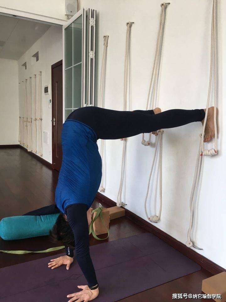 瑜伽教练培训心得体会,探索身心融合的旅程,瑜伽教练培训之旅,身心融合的深度探索