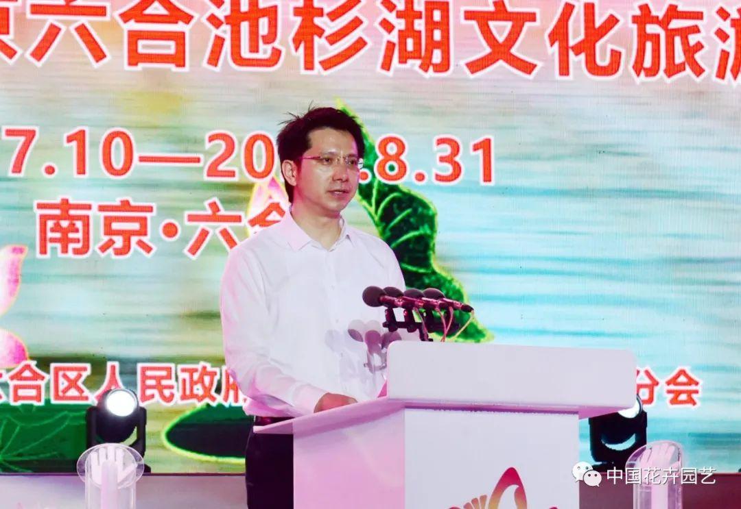 新澳门六和开奖结果,探索彩票世界的神秘面纱,澳门六和彩票开奖探索,揭开神秘面纱