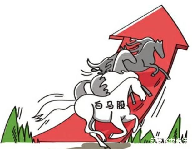白马股与蓝筹股,股市中的两大重要概念解析,白马股与蓝筹股深度解析,股市两大概念探究