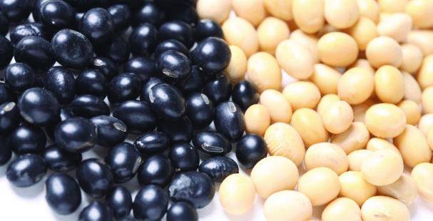 黑豆的魅力,一个月体验性功能增强的奇妙之旅,黑豆的魔力,体验一月性功能增强的奇妙之旅