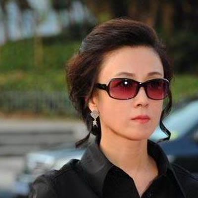 傅艺伟个人资料介绍，傅艺伟个人简介