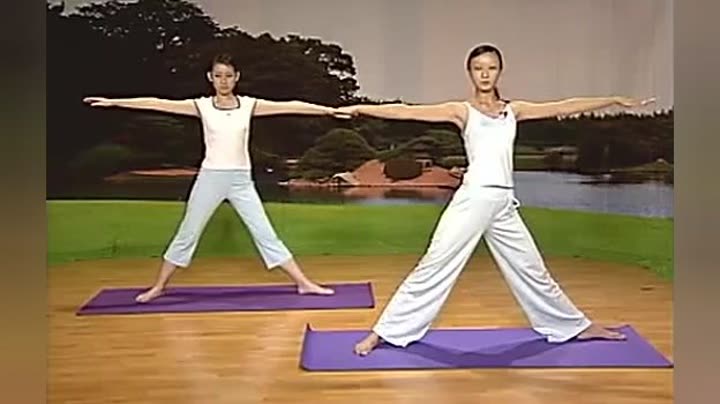 老年瑜伽视频教程初级，开启健康身心的第一步，老年瑜伽视频教程初级，开启健康人生的第一步