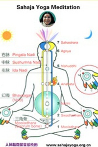 霎哈嘉瑜伽，探索内在平衡与身心和谐之旅，霎哈嘉瑜伽，探寻内在平衡与身心和谐的奥秘之旅