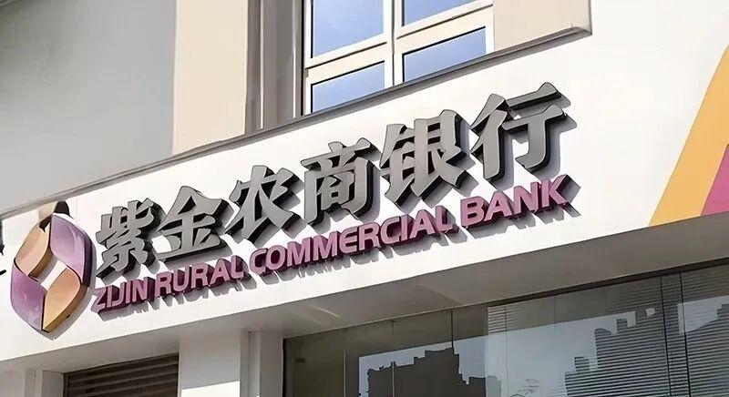 紫金银行合并重组的可能性探讨，紫金银行合并重组前景探讨，可能性分析