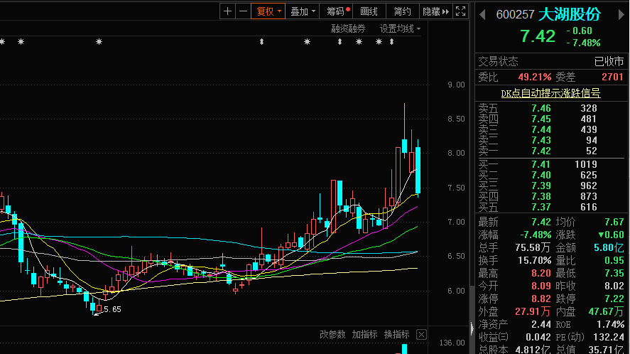 大湖股份股票股，探究其背后的价值与潜力，大湖股份股票股，深度解析其价值与潜力