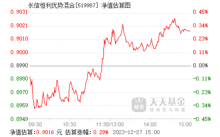 长信银利基金净值查询,了解您的投资状况,长信银利基金净值查询,掌握您的投资状况