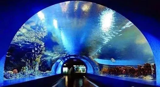 北京海洋馆门票购买攻略,如何买到便宜的门票?,北京海洋馆门票购买攻略,省钱购票指南