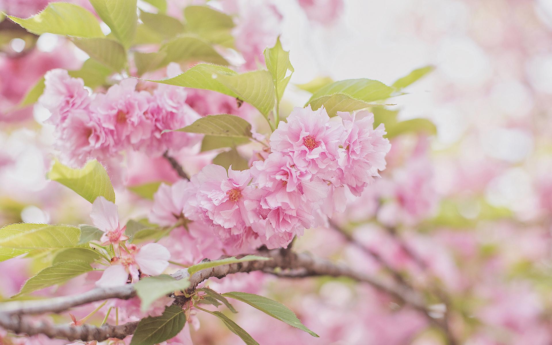 深圳我主良缘相亲平台的可靠性探讨,深圳我主良缘相亲平台可靠性深度探讨