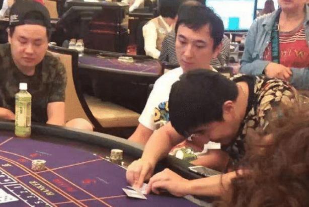 四不像澳门，探寻独特魅力的多元融合之地，澳门多元融合之旅，探寻四不像的独特魅力