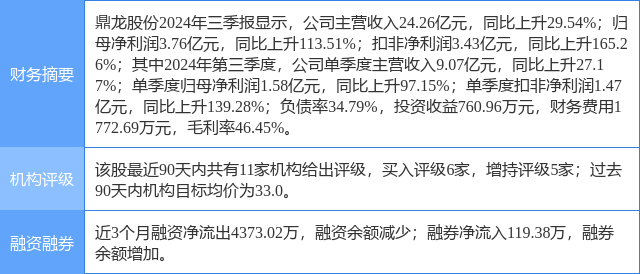 鼎龙股份，深入解析一家多元化发展的企业，鼎龙股份，多元化发展的企业深度解析