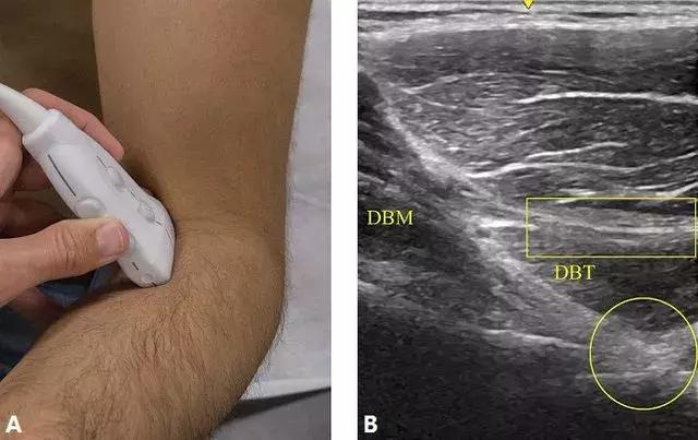 探索一上一下,一种全新的视角与体验,探索一上一下,全新视角与体验之旅