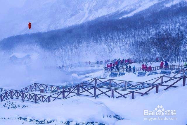 冬季旅游好去处——追寻白雪皑皑的梦幻之旅,冬季追寻白雪皑皑的梦幻之旅好去处