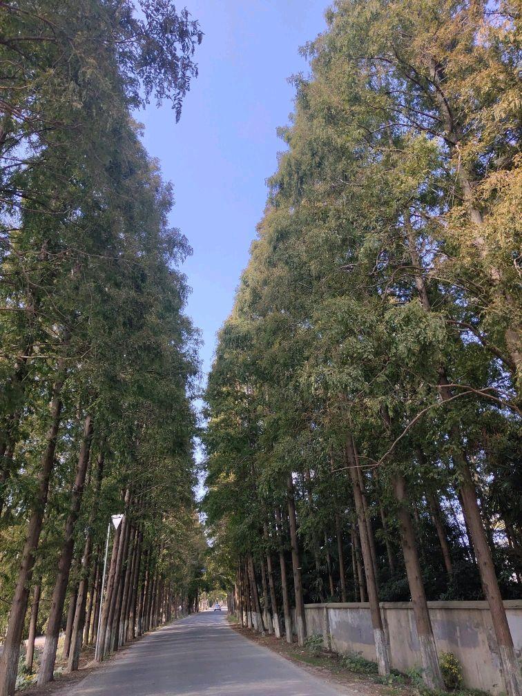 上海好玩地方的排名榜，上海热门景点排名榜单