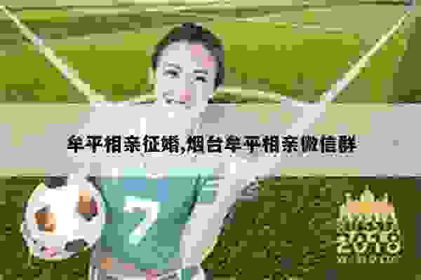 烟台征婚群，缘分在这里起航，烟台征婚群，缘分扬帆起航，寻找真爱之旅