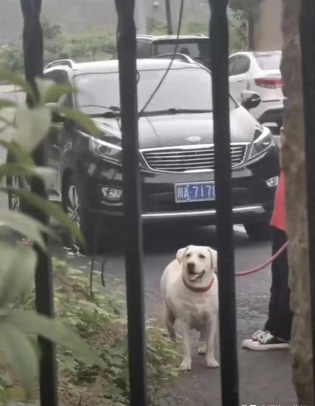 寻找主人的社交app，重塑现代社交方式的新力量，寻找主人的社交app，重塑现代社交方式的新力量源泉