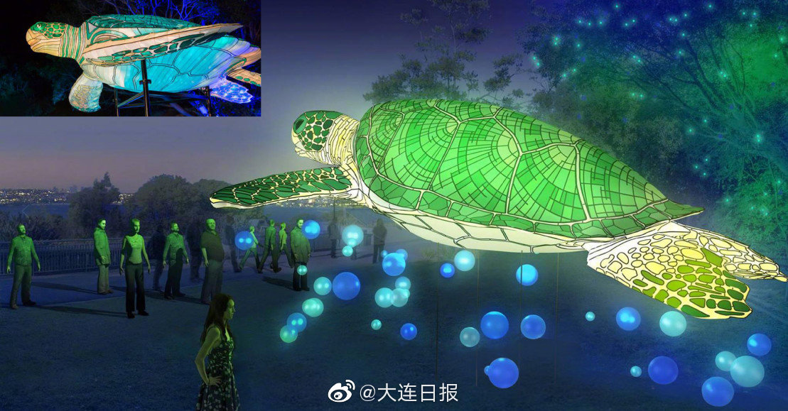 揭秘老虎滩门票价格，一场海洋乐园的探险之旅，揭秘老虎滩门票价格，海洋乐园探险之旅开启