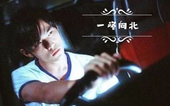 一路向北，女演员的坚韧与绽放，女演员的坚韧之旅，一路向北的绽放之路