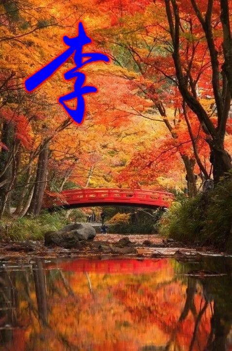 歼-10、歼-11与歼-16,中国空军现代化之路上的三大主力战机之区别,中国空军三大主力战机歼-10、歼-11与歼-16的区别及现代化之路探索