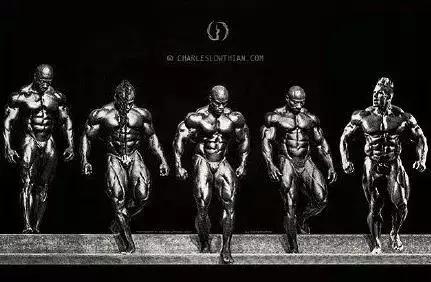 中国健美协会健身教练证书含金量深度解析,中国健美协会健身教练证书含金量解析