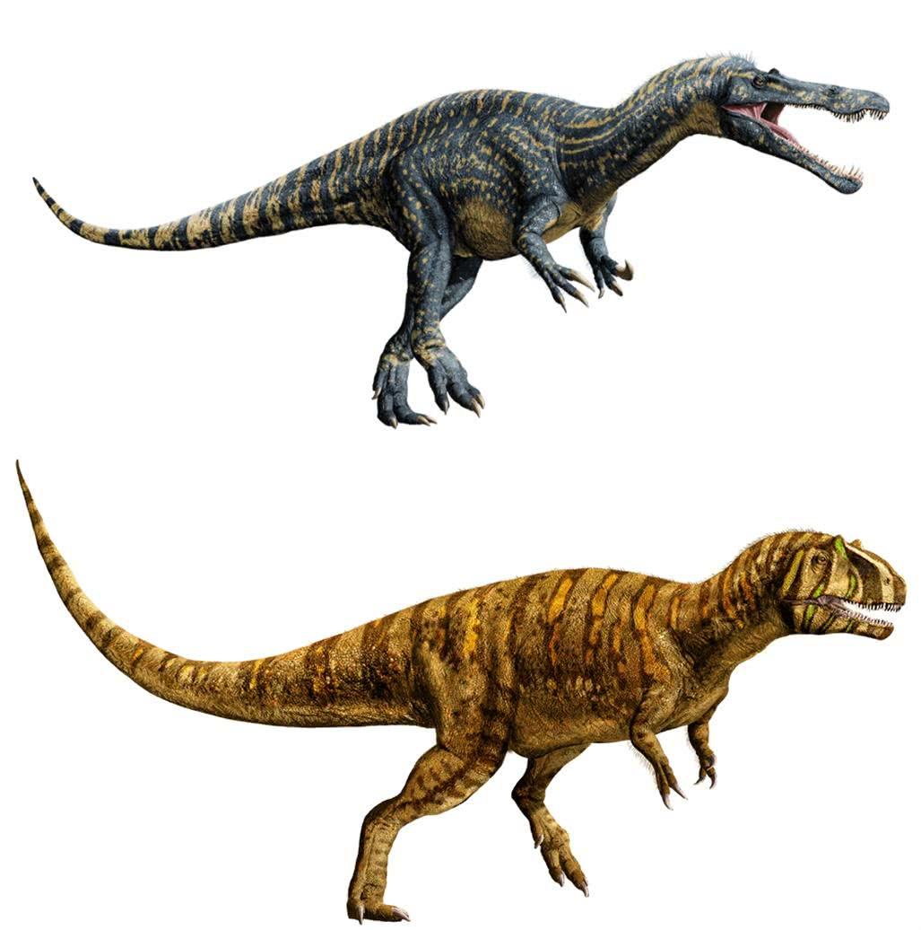 恐龙世界,神秘而引人入胜的史前生物,恐龙世界,神秘史前生物的迷人魅力