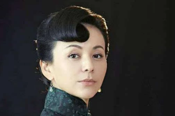 雪姨王琳个人资料,一位闪耀荧屏的杰出演员,雪姨王琳,杰出演员,荧屏之星