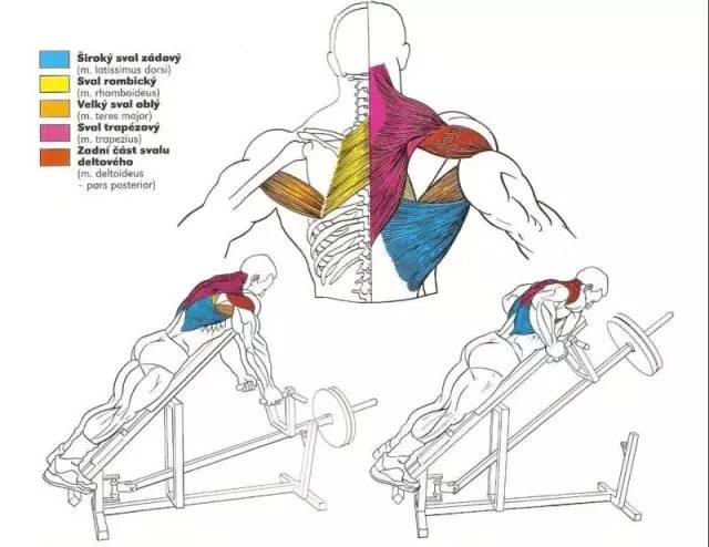 健身房器材使用图解，全面指导你的健身之路，健身房器材使用图解，全方位指导健身之路入门秘籍