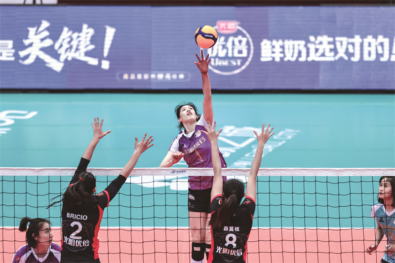 女排超级联赛总决赛，热血激战，荣耀之巅，女排超级联赛总决赛，荣耀之巅的热血激战