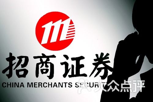 招商证券网上营业厅，重塑证券业务的数字化未来，招商证券网上营业厅，重塑数字化证券业务的未来之路