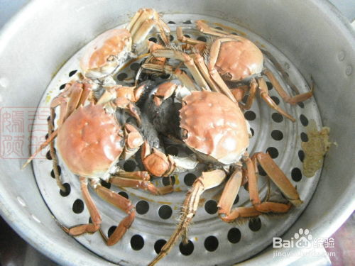 清蒸螃蟹的正确做法,美味与健康并重,清蒸螃蟹,美味与健康,双重享受的正确做法
