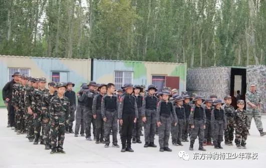 国防军事体验营,触摸军事硬实力,感受国防软实力,国防军事体验营,深度触摸硬实力,感受国防软实力