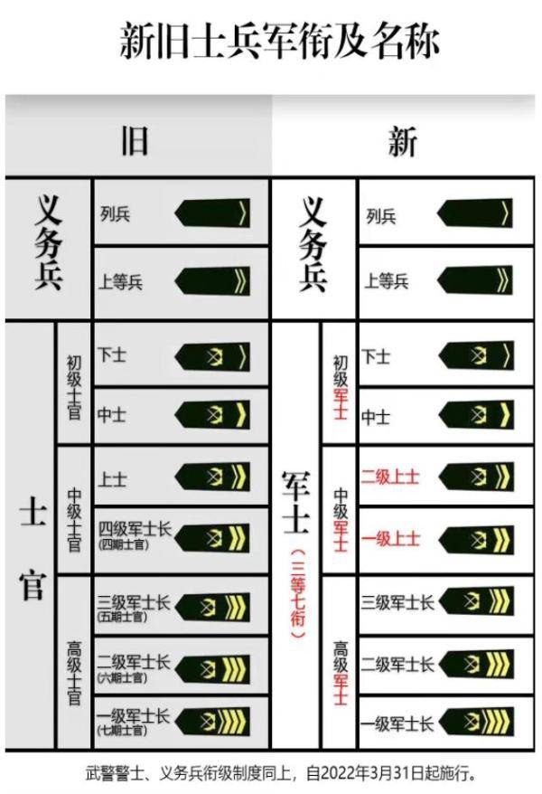 第一批士官的历史背景及其影响，揭秘哪年诞生的首批士官，揭秘首批士官诞生年份及其历史背景与影响