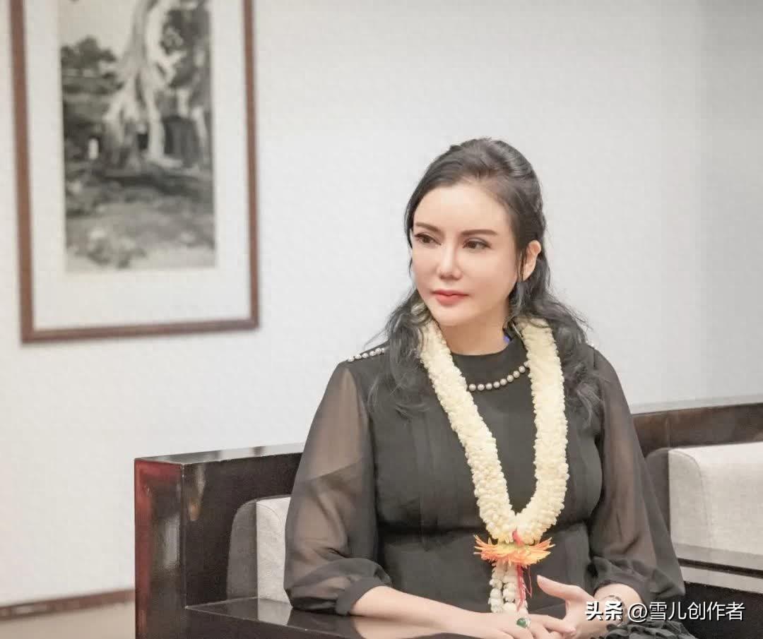 国际战略研究所,探索全球战略格局的先锋力量,国际战略研究所,全球战略格局探索的先锋力量